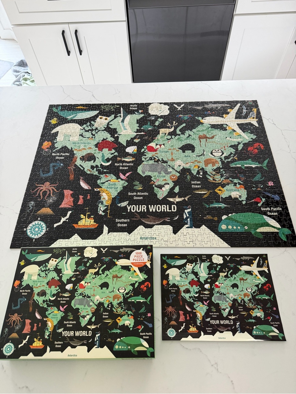 Your world map mudpuppy puzzle